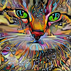 A StippyTrippy🚀⭐️