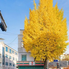 Lập Đông - Rô Ti (cover - Âm nhạc_A.I).mp3