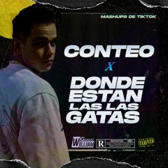 Don Omar X Daddy Yankee X Nicky Jam - Conteo A Las Gatas (William Garezz Intro)(FREE DOWNLOAD)