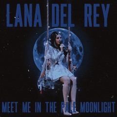 Meet Me in the Pale Moonlight.mp3