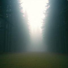 아무도 알아주지 않는 (The Unnoticed)