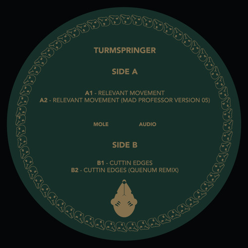 Exclusive Premiere: Turmspringer "Relevant Movement" (Mad Professor Version 05)