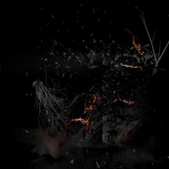 sewerbat w/ Concrete Void