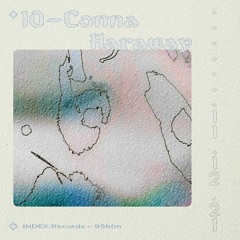 #10 Conna Haraway [INDEX:95bFM]