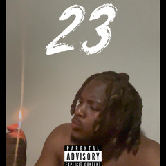 23