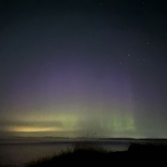 Whisk away (improv ft. Foxi & Rabbit)