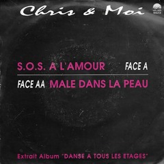 EDIT: Male Dans La Peau (Gay Felony 180p Edit)