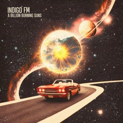 Indigo FM - Hold That Thought
