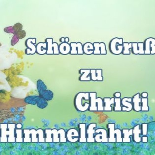 Himmelfahrts - Komando Beim Steini Im Garten😋😎🤗🤩 Geil War`s.......