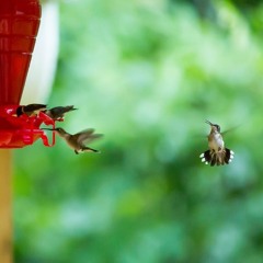 Dan’s AMBIENT t& INSTRUMENTAL works