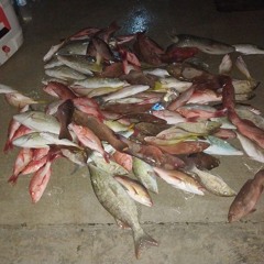 ngetmeduch