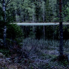 Hällsjön Wetland Night Soundscape - Sweden