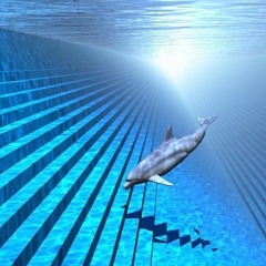 Ikire - Tararira ( 知らない世界も見飽きた Album )