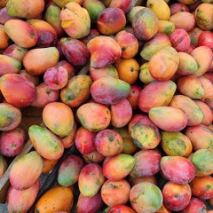 First love - nikka costa (cover by intan)