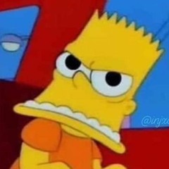 NYALOGASSA A BICIKLIJÉT