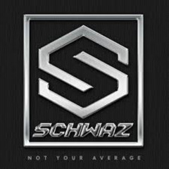 Dj Schwaz Road Trip Essentials 17 Party Edition