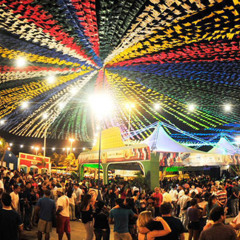 FESTA JUNINA RITMADA 2025 ( DJ VINICIUS DE MACABU )