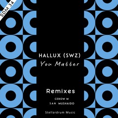 2. Hallux (SWZ) & Ribsoul - You Matter (Feat. MiLoKul) (Cebow M Club Remix )