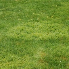 am i gone ? feat. Origami