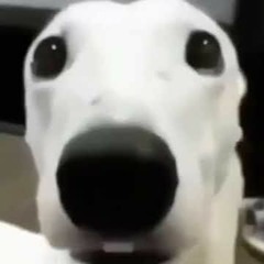 Goofy Ahh Trumpet Drill