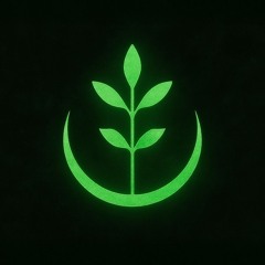 meditation°01