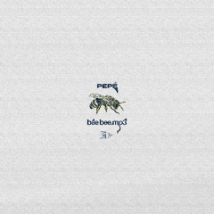 bae bee.mp3 [ OCSID Records 014 ]