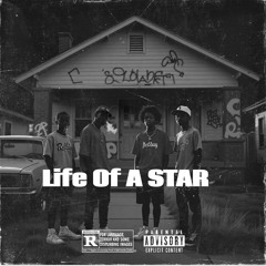 Life Of A Star