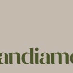 12.11.2023 Andiamo 3a