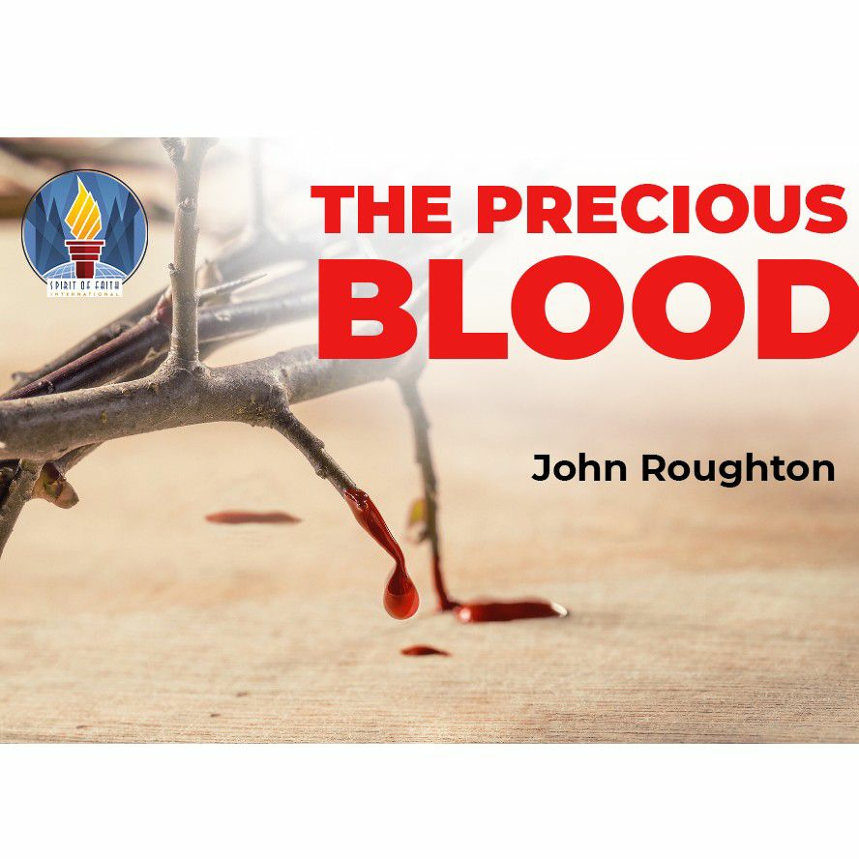 John Roughton, Sofi.life