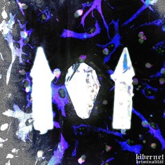 Lucius Light - Surrender