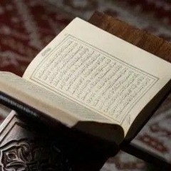 يا كتاب الله | عمار صرصر | دار القرآن الكريم والسنة.