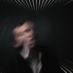 Koala Before the Storm