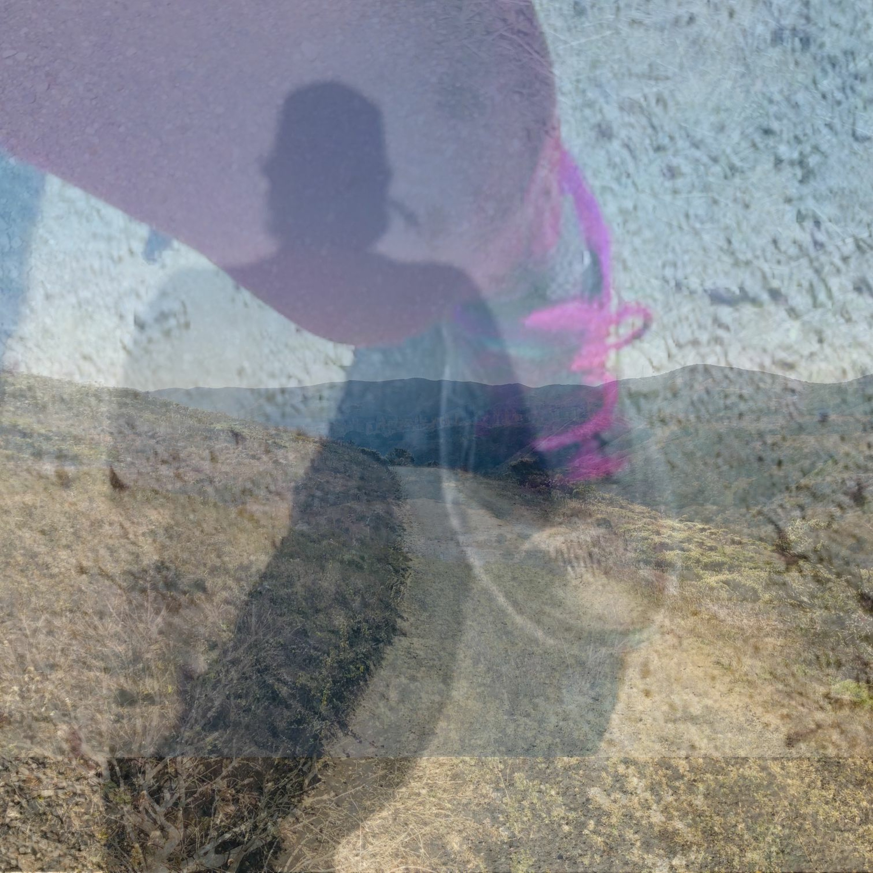 Brian Talks To Humans!