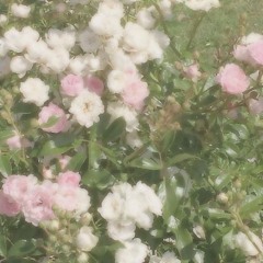 ifeye ⋆ r u ok? (sped up + reverb)