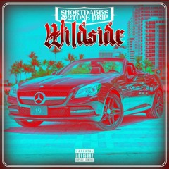 wild side.mp3