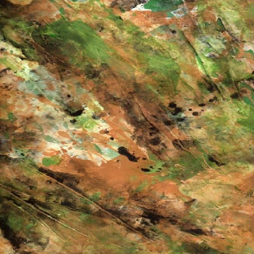 Rostral (Original Mix)
