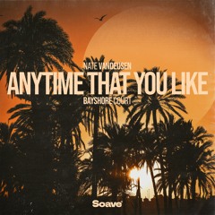 Nate VanDeusen & Bayshore Court - Anytime That You Like