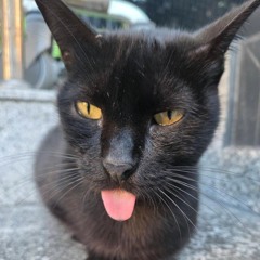 Aqua Vs - Si Dice Que Esta Pa Mi