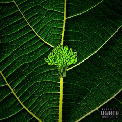 SPINACH (feat. Cheeky)(Prod. by Theisy)