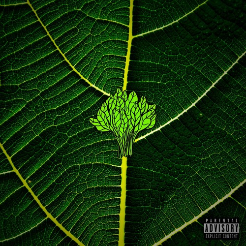SPINACH (feat. Cheeky)(Prod. by Theisy)