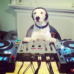 Garage Dog - Dogface 110 Min Mix