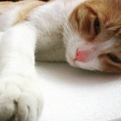 Progressive, Melodic Techno Sessions Jan 2020 By Dj Vanessa (wm)