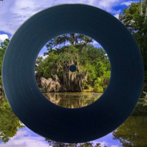 LakeVision