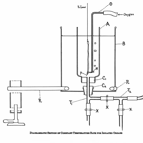 Memoirs of a Latent Pharmacologist: Volume 1.