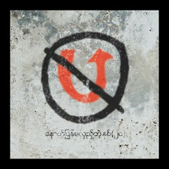 ဘာမှမထူးတဲ့လူ