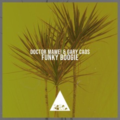 Funky Boogie (Original Mix)