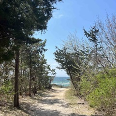 Songs from Green Dunes