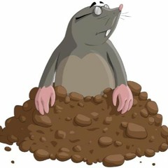 Blind Picks # 1 (Vinyl Only)