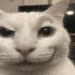 killyouall bassboosted [p.rareluwthegoat]