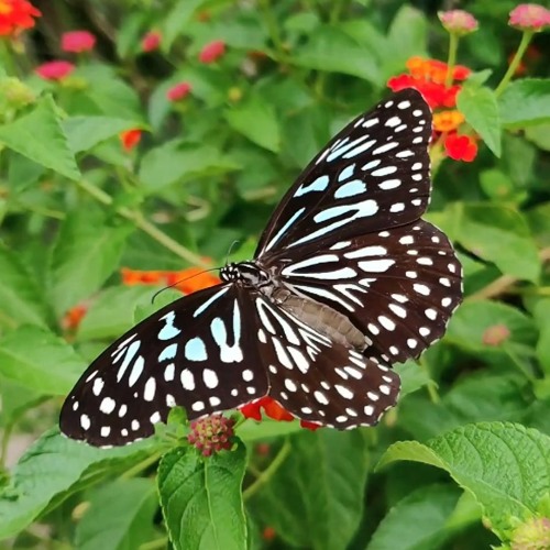 Stream Deep Insight - Cinematic Ambient Background & Romantic Beautiful ...